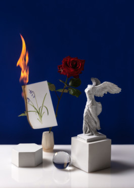 bluebell political karaoke series by martina lajczak 