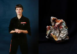 clara luzia the militant ecologist political karaoke series by martina lajczak 