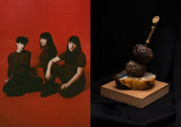 dives you are the problem here political karaoke series by martina lajczak 