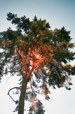 18 years baltic sea documentary series 2018 by Martina Lajczak 