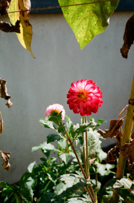 18 years baltic sea documentary-series-rendering 2018 by Martina Lajczak 