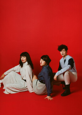 dives band portrait by martina lajczak 2019