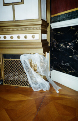 austrian parliament-renovation 2021 by martina lajczak 