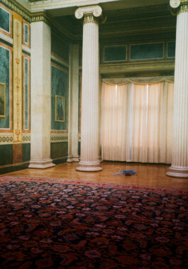 austrian parliament-renovation 2021 by martina lajczak 