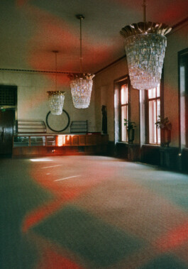 austrian parliament-renovation 2021 by martina lajczak 