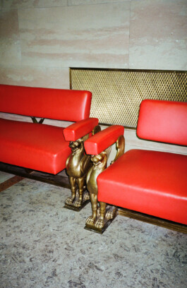 austrian parliament-renovation 2021 by martina lajczak 