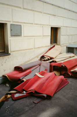 austrian parliament-renovation 2021 by martina lajczak 