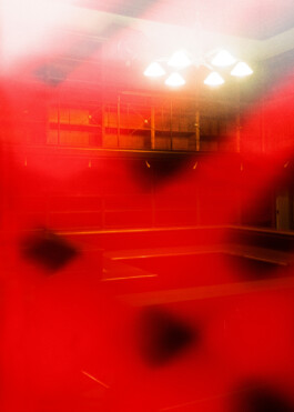 austrian parliament-renovation 2021 by martina lajczak 