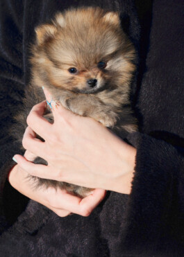 ior jewellery fashion flower bouquet still life series by martina lajczak 