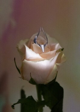 ior jewellery fashion flower bouquet still life series by martina lajczak 