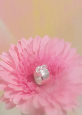 ior jewellery fashion flower bouquet still life series by martina lajczak 