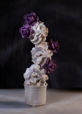 cactus meringue still life 2021 by martina lajczak 