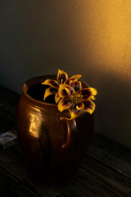 lilies still life 2020 by martina lajczak 