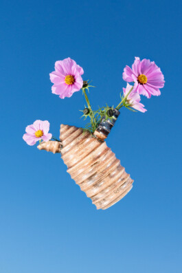 still life for 360 ceramics 2020 by martina lajczak